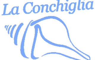 Logo conchiglia Star Animation